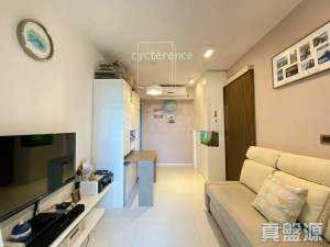 環宇海灣 1座 - 28NTS – 香港北部都會區