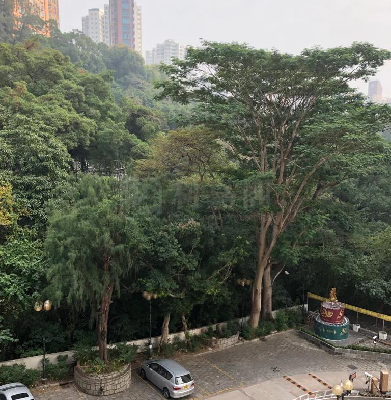 容龍居 - 28NTS – 香港北部都會區