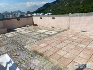 容龍居 4座 - 28NTS – 香港北部都會區