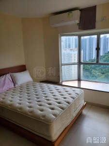 容龍居 4座 - 28NTS – 香港北部都會區