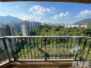 容龍居 4座 - 28NTS – 香港北部都會區