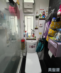 寶星中心 D座 - 28NTS – 香港北部都會區