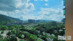 17768060871e768e56-d42e-4e04-8928-34a5ff47c4c7.jpeg 愛琴海岸 1座 - 28NTS – 香港北部都會區