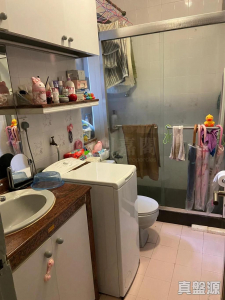 1776806630aa1d3d65-1b75-4b97-8728-df4897d9928f.jpeg 寶星中心 D座 - 28NTS – 香港北部都會區