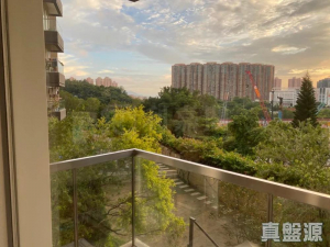 17768069121ceca031-d148-464e-adc0-f8df37a014db.jpeg 星堤 7座 - 28NTS – 香港北部都會區