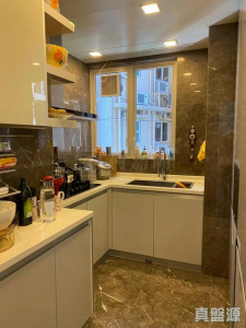 177680691679b69d43-c9b7-46e4-8f6c-debff8cd93d0.jpeg 星堤 7座 - 28NTS – 香港北部都會區