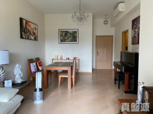 1776806920fa090e5e-3089-4c5e-b88d-99b4704b9ace.jpeg 星堤 7座 - 28NTS – 香港北部都會區