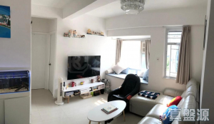 好順泰大廈 A座 - 28NTS – 香港北部都會區