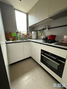 177680753303454bb7-0556-4eff-90a5-dab94824fe22.jpeg NOVO LAND 1A期 Elverum 2座 - 28NTS – 香港北部都會區