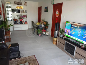 和富豪庭 11座 - 28NTS – 香港北部都會區