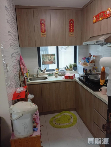和富豪庭 11座 - 28NTS – 香港北部都會區