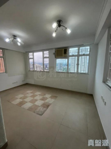 17768085873f430a4f-fd5d-46c6-8009-7f5aa9b744be.jpeg 康城大樓 - 28NTS – 香港北部都會區