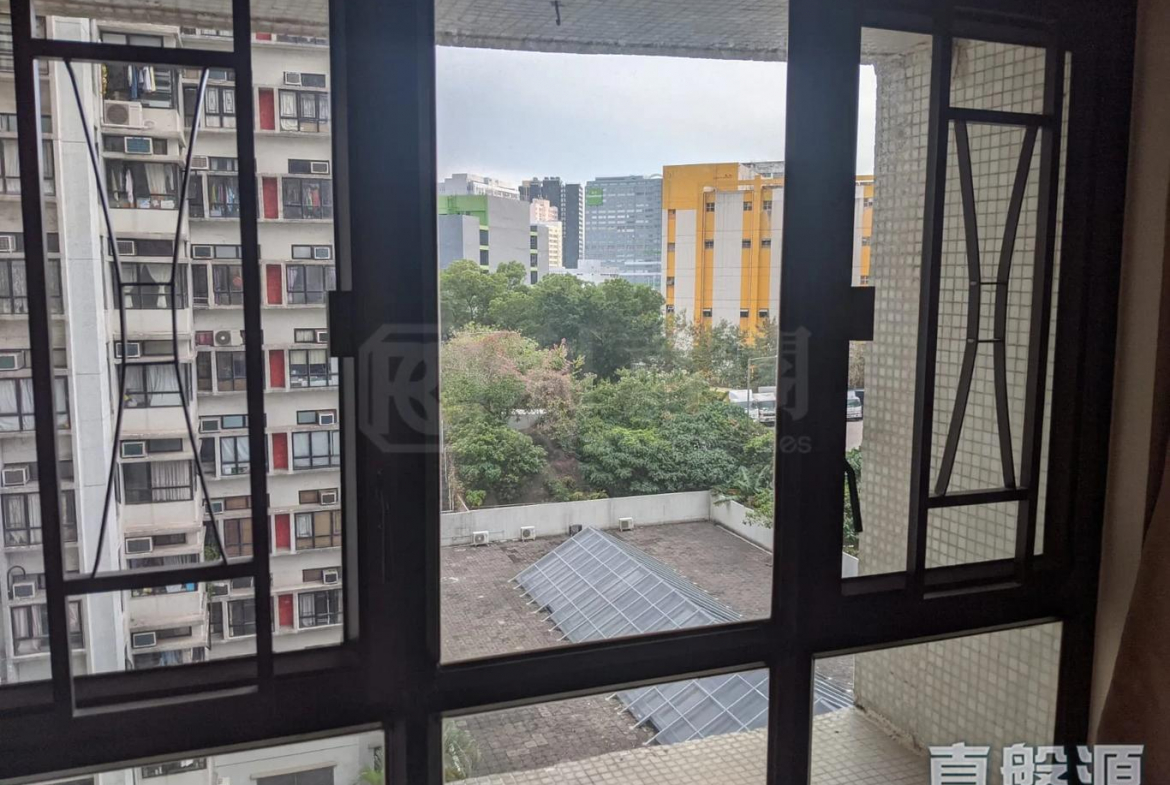 大興花園 2期 4座 - 28NTS – 香港北部都會區