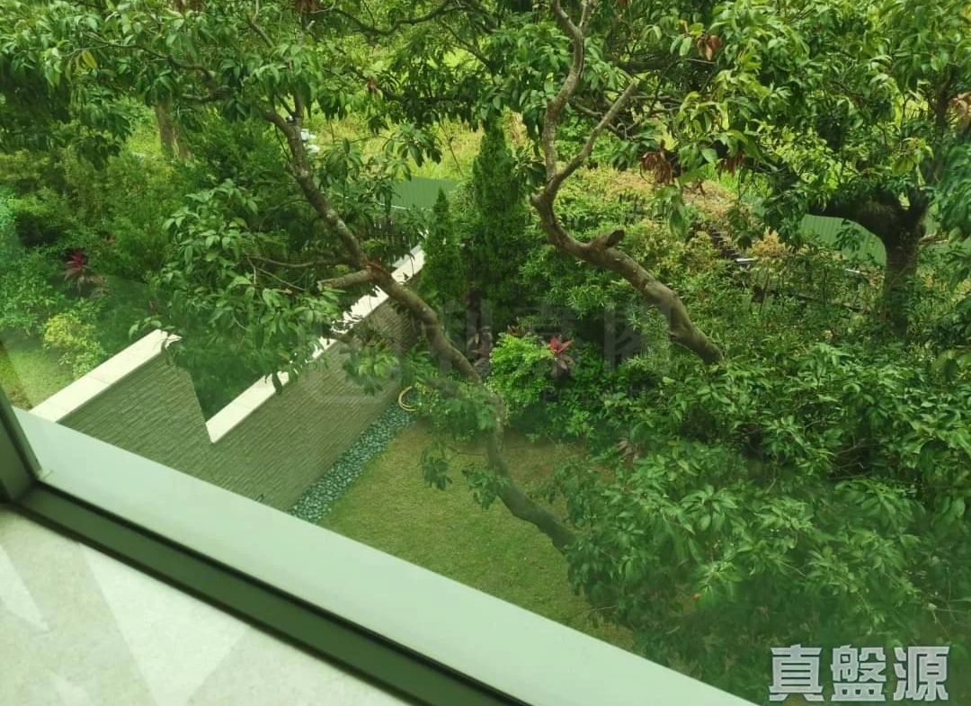 柏巒 1期 - 28NTS – 香港北部都會區