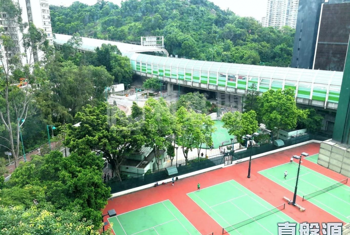 龍成花園 1座 - 28NTS – 香港北部都會區