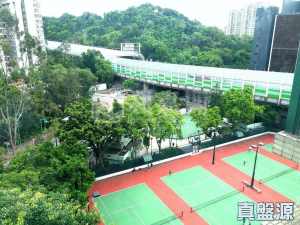 龍成花園 1座 - 28NTS – 香港北部都會區