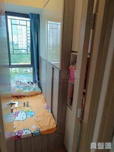 1776811549350dea2f-39ec-4c7f-96cf-5cfa694bfb54.jpeg WETLAND SEASONS PARK 1期 17座 - 28NTS – 香港北部都會區