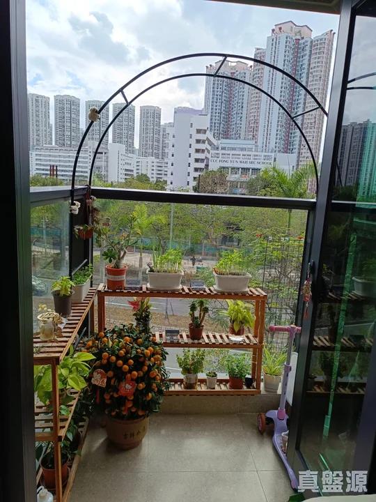 WETLAND SEASONS PARK 1期 17座 - 28NTS – 香港北部都會區