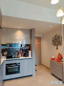 1776811554c1ab5e49-f6eb-4798-9e69-87dd3e52684b.jpeg WETLAND SEASONS PARK 1期 17座 - 28NTS – 香港北部都會區