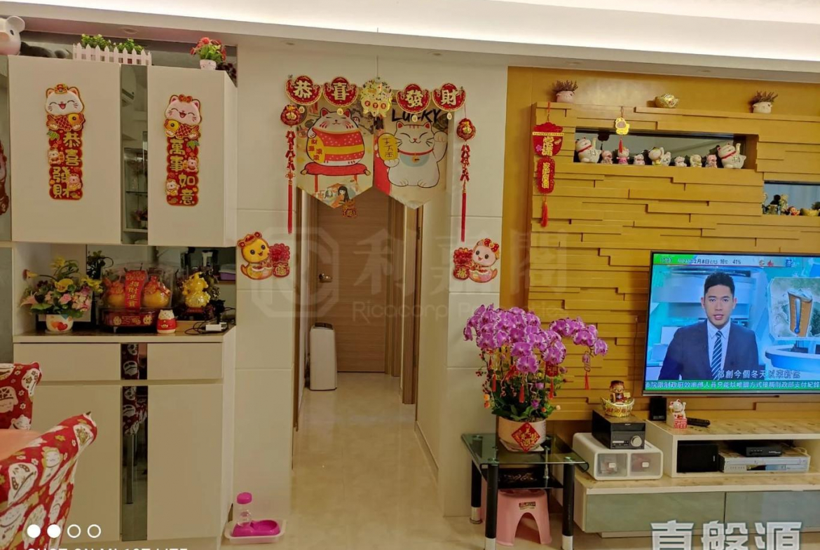 栢慧豪園 2期 栢慧豪廷 9座 - 28NTS – 香港北部都會區