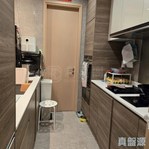 177681253624969235-9ead-4823-9ed0-a6d52e387714.jpeg 山水盈 6座 - 28NTS – 香港北部都會區