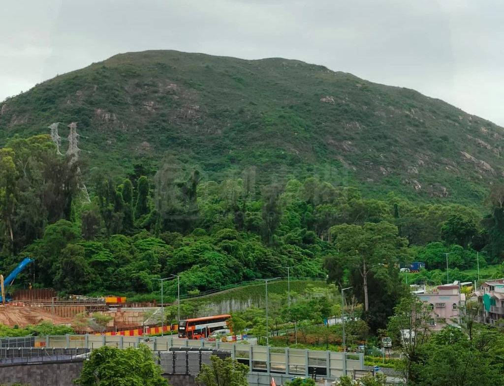 NOVO LAND 1B期 Bergen 3座 - 28NTS – 香港北部都會區