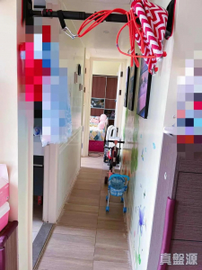 菁雋 - 28NTS – 香港北部都會區