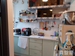 兆隆苑 - 28NTS – 香港北部都會區