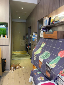 豐連 1座 - 28NTS – 香港北部都會區