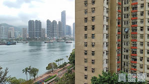 1776814616314e5046-47ff-4451-8a32-f9ba65c10408.jpeg 青泰苑 寶泰閣 (B座) - 28NTS – 香港北部都會區