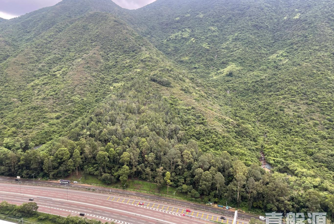 映灣園 3期 悅濤軒 海雲天 (12座) - 28NTS – 香港北部都會區