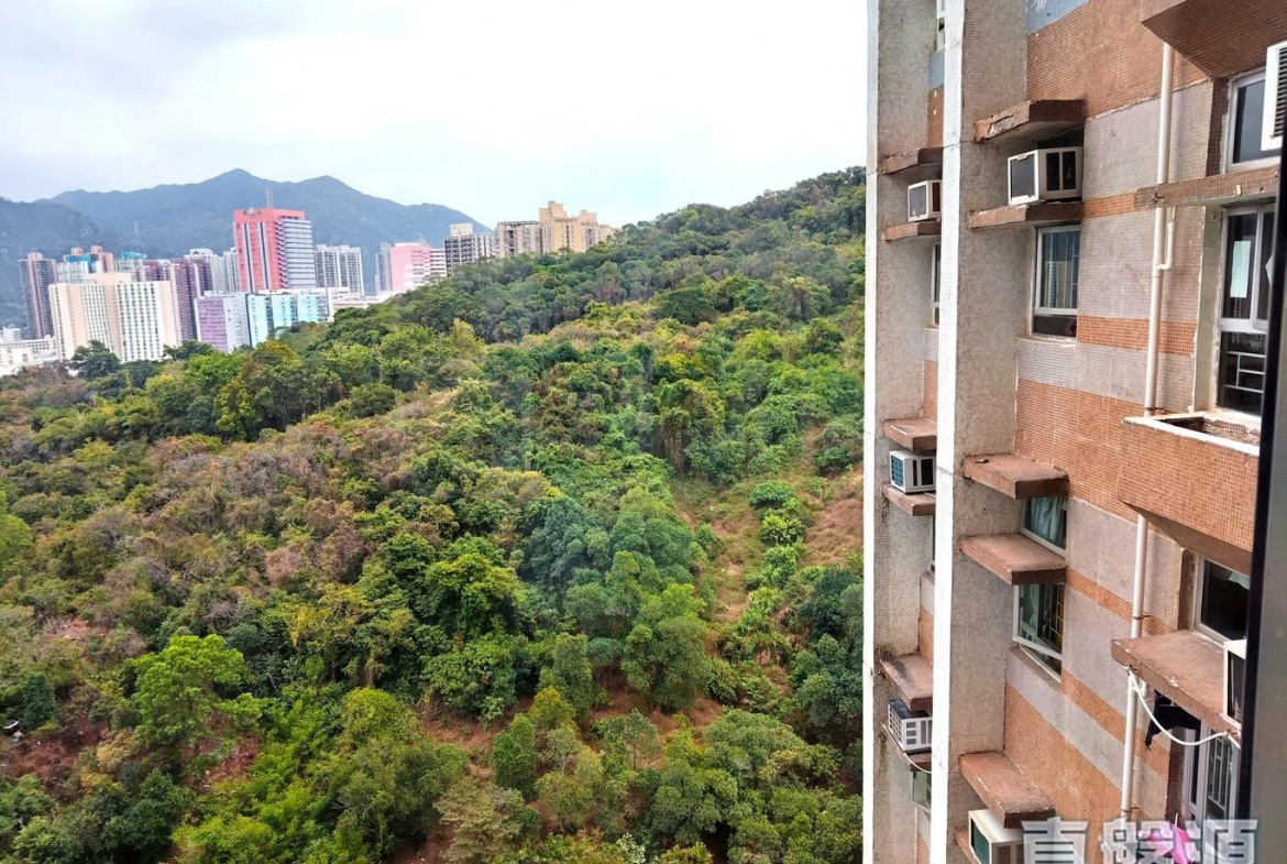 新圍苑 新奐閣 (E座) - 28NTS – 香港北部都會區