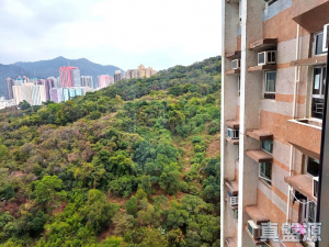 新圍苑 新奐閣 (E座) - 28NTS – 香港北部都會區