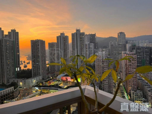 177681693933c84ead-b599-42b3-ae1f-eb407544ebbd.jpeg 萬景峯 3座 - 28NTS – 香港北部都會區