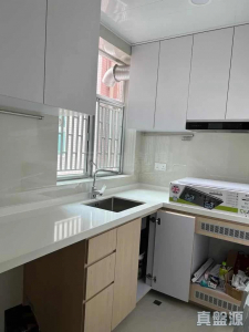 愉景新城 1期 1座 - 28NTS – 香港北部都會區