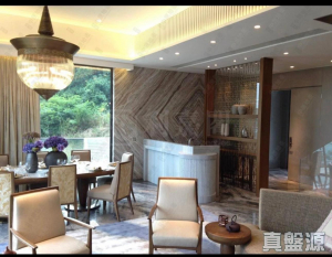 星岸 - 28NTS – 香港北部都會區