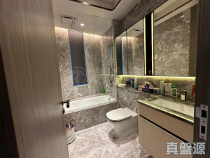 上源 - 28NTS – 香港北部都會區