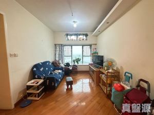 藍天海岸 1期 3座 - 28NTS – 香港北部都會區
