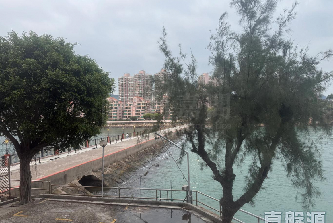 龍珠島別墅 東座 - 28NTS – 香港北部都會區