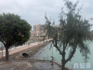 龍珠島別墅 東座 - 28NTS – 香港北部都會區
