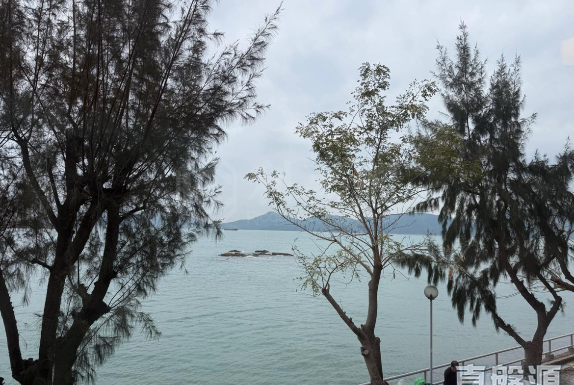 龍珠島別墅 東座 - 28NTS – 香港北部都會區