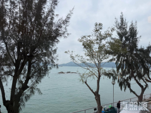 龍珠島別墅 東座 - 28NTS – 香港北部都會區