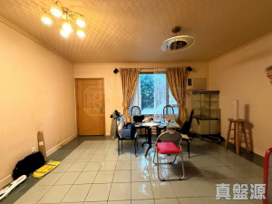 龍珠島別墅 東座 - 28NTS – 香港北部都會區