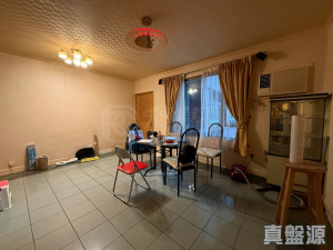 龍珠島別墅 東座 - 28NTS – 香港北部都會區
