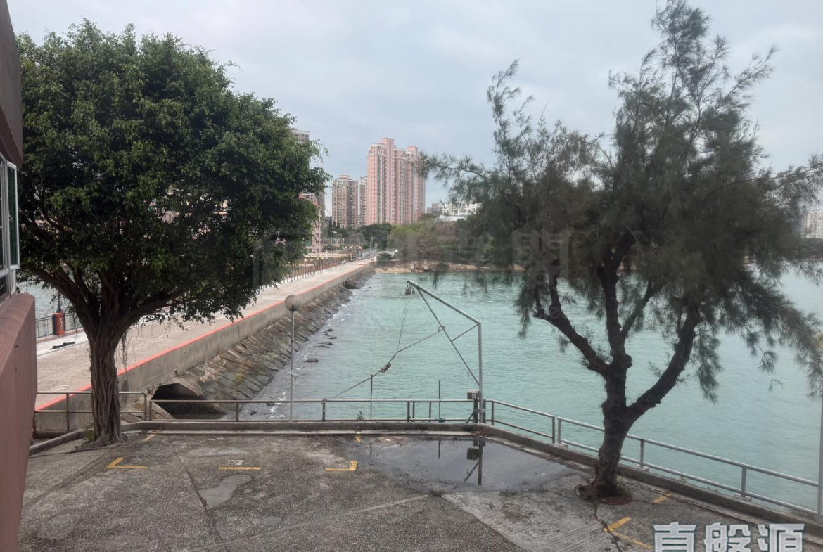 龍珠島別墅 東座 - 28NTS – 香港北部都會區