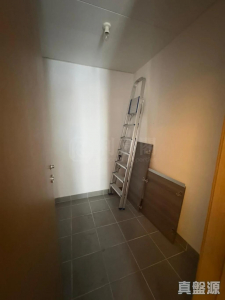 1776822811e956602d-602c-4b19-bc96-c29becd61a7b.jpeg 蔚林 1座 - 28NTS – 香港北部都會區