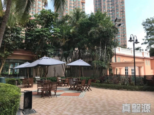 香港黃金海岸 11座 - 28NTS – 香港北部都會區