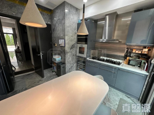 17768249009912af03-b936-4a8b-a0ad-c0c60da1a979.jpeg 葡萄園 - 28NTS – 香港北部都會區