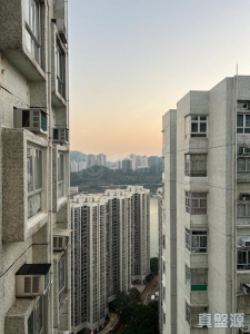 麗城花園 2期 8座 - 28NTS – 香港北部都會區