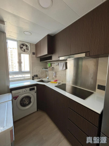 1776825986b06c8c76-ad14-42d5-9186-3c9fd05e2c5d.jpeg 青華苑 華欣閣 (E座) - 28NTS – 香港北部都會區